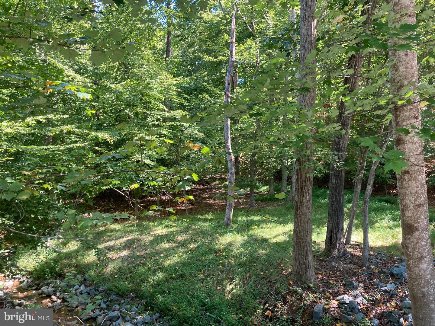 PALMYRA, Virginia 22963, ,Land,For sale,VAFN2000216 MLS # VAFN2000216