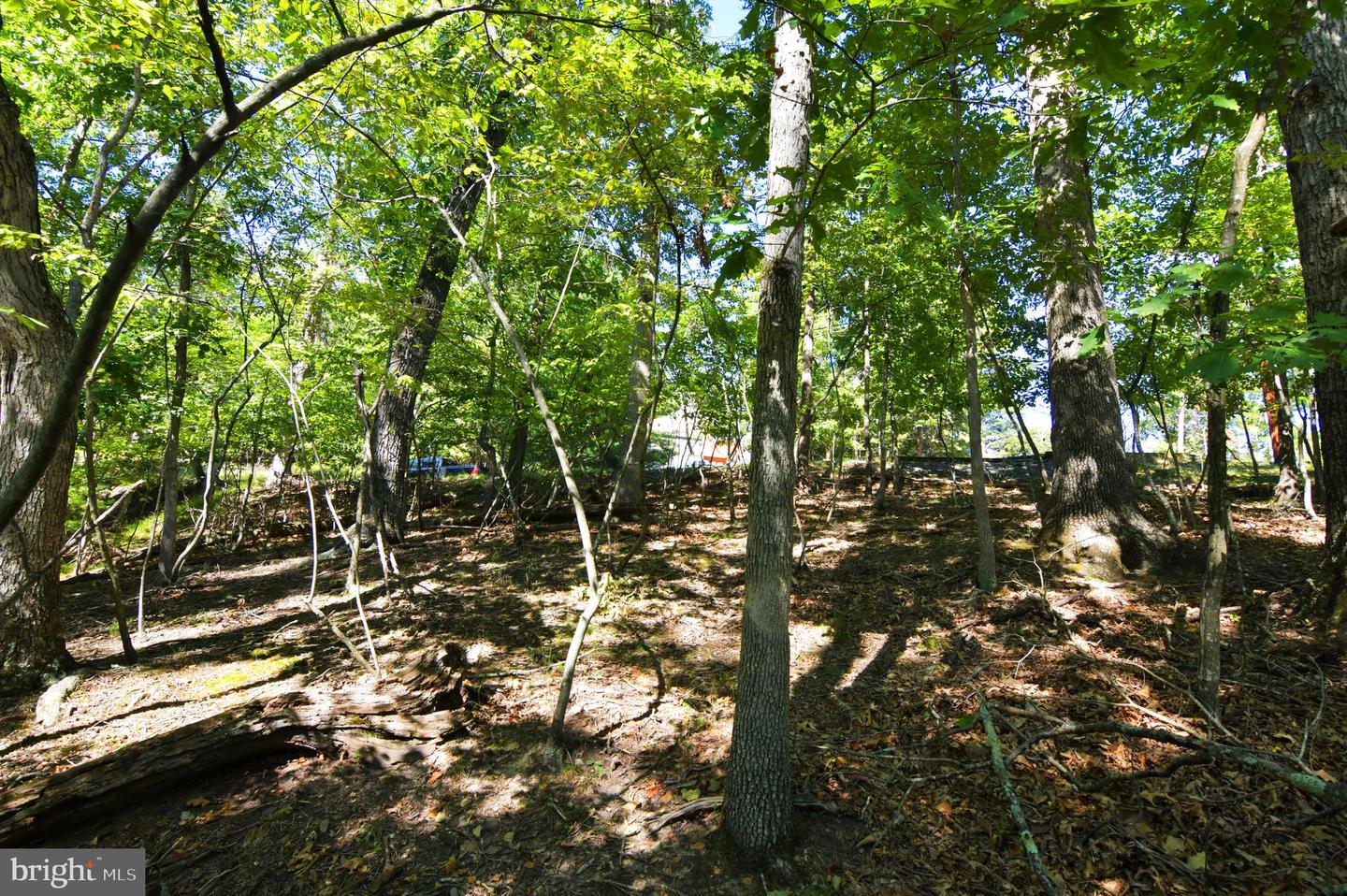 1247 LAKEVIEW, CROSS JUNCTION, Virginia 22625, ,Land,For sale,1247 LAKEVIEW,VAFV2021594 MLS # VAFV2021594