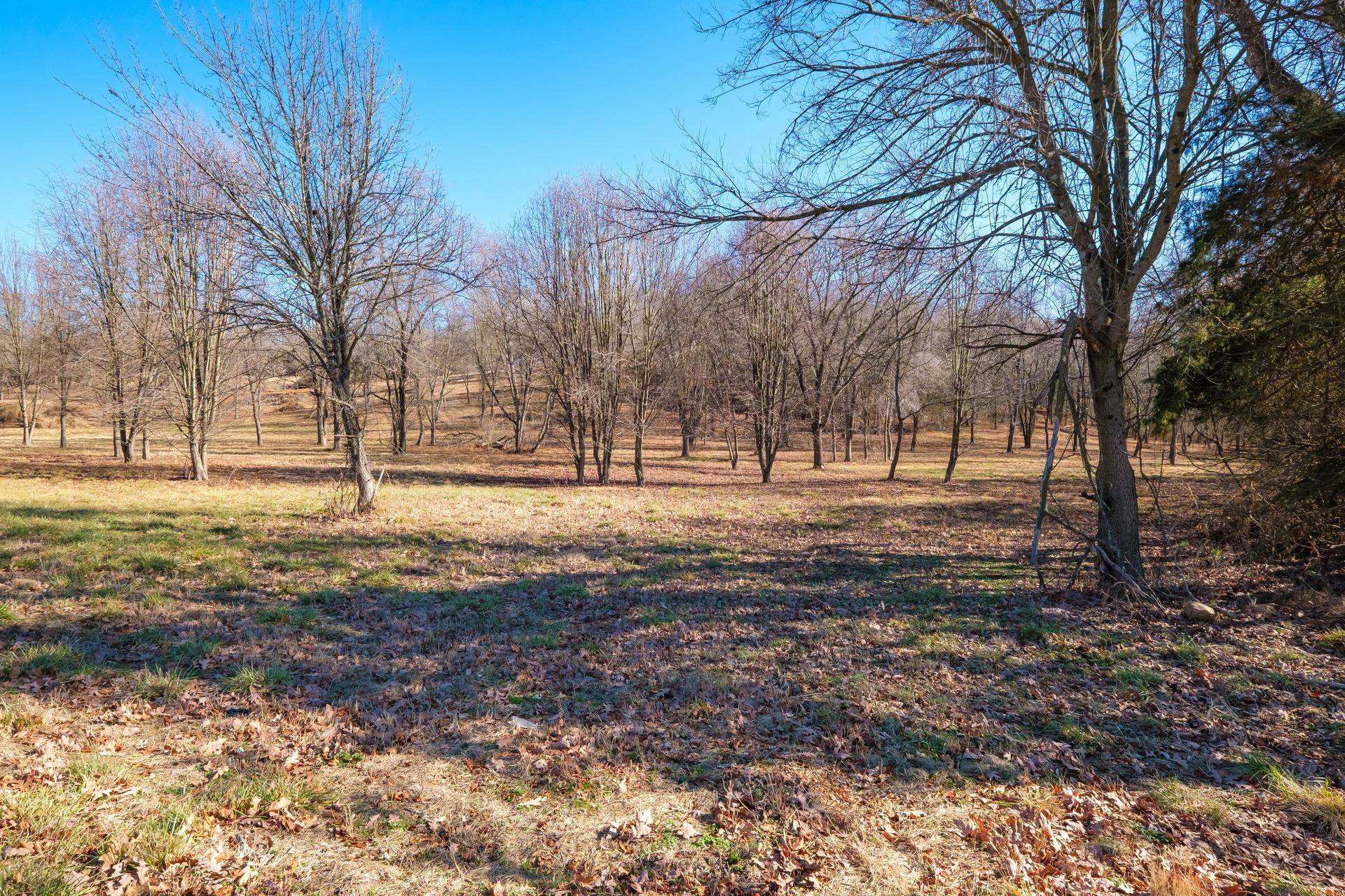 Lot 13 BERRY FARM RD, STAUNTON, Virginia 24401, ,Land,Lot 13 BERRY FARM RD,656899 MLS # 656899