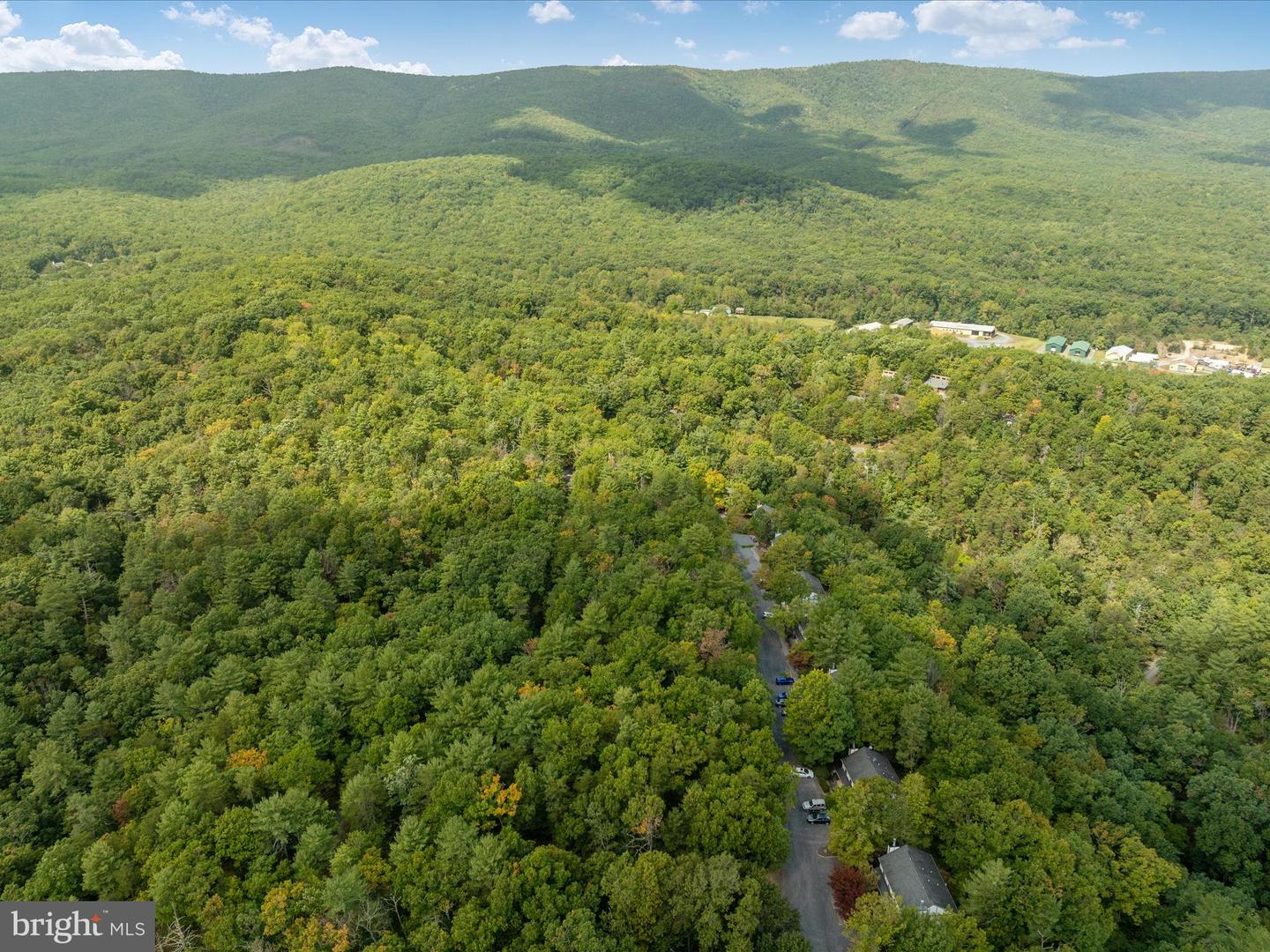 TBD SPITZ LN, BASYE, Virginia 22810, ,Land,For sale,TBD SPITZ LN,VASH2009556 MLS # VASH2009556