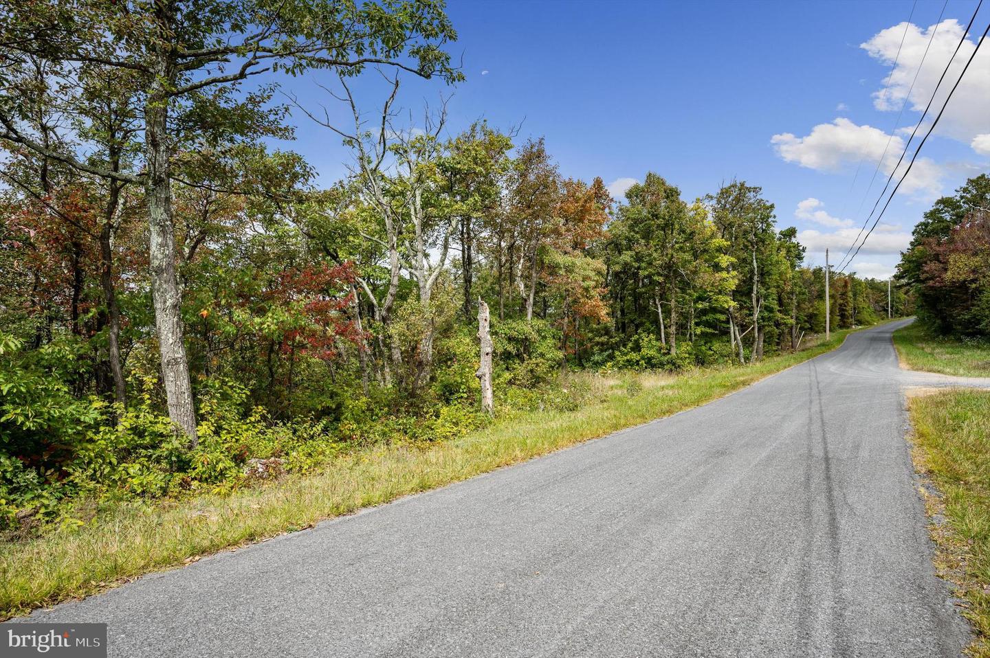 LOT 38 TIMBER RIDGE TRL, WINCHESTER, Virginia 22602, ,Land,For sale,LOT 38 TIMBER RIDGE TRL,VAFV2021684 MLS # VAFV2021684