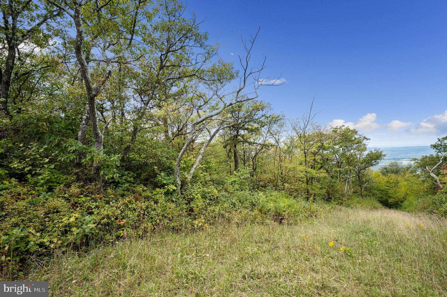 LOT 38 TIMBER RIDGE TRL, WINCHESTER, Virginia 22602, ,Land,For sale,LOT 38 TIMBER RIDGE TRL,VAFV2021684 MLS # VAFV2021684