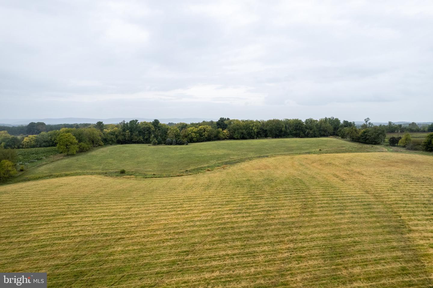 20.17 ACRES HEDGELAND LANE, WATERFORD, Virginia 20197, ,Land,For sale,20.17 ACRES HEDGELAND LANE,VALO2080162 MLS # VALO2080162