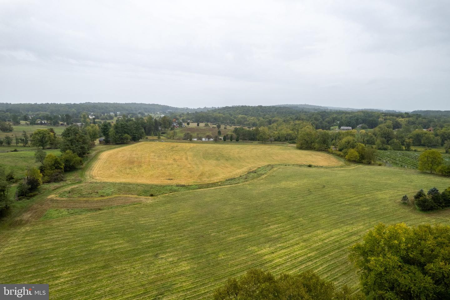 20.17 ACRES HEDGELAND LANE, WATERFORD, Virginia 20197, ,Land,For sale,20.17 ACRES HEDGELAND LANE,VALO2080162 MLS # VALO2080162