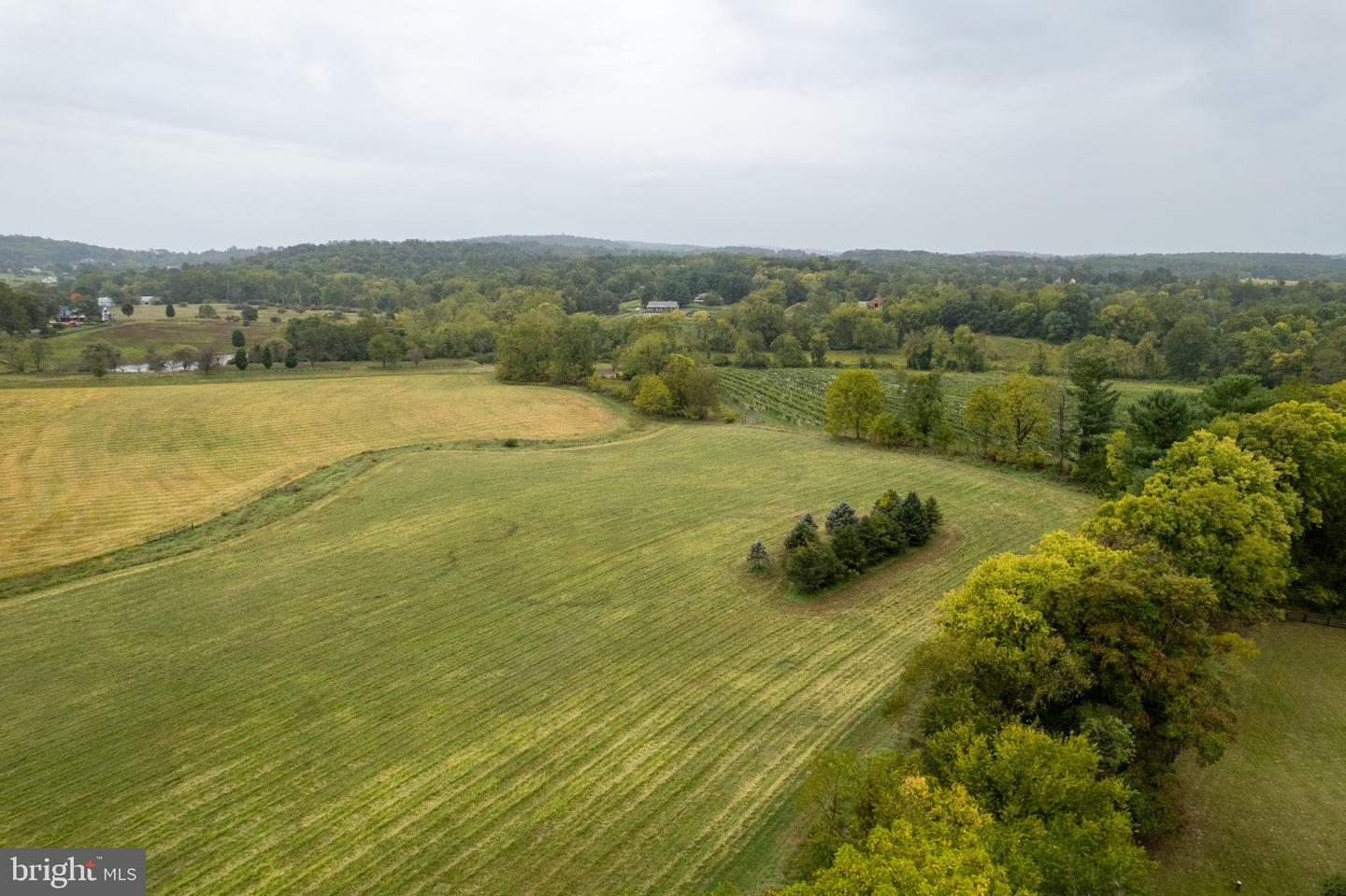 20.17 ACRES HEDGELAND LANE, WATERFORD, Virginia 20197, ,Land,For sale,20.17 ACRES HEDGELAND LANE,VALO2080162 MLS # VALO2080162