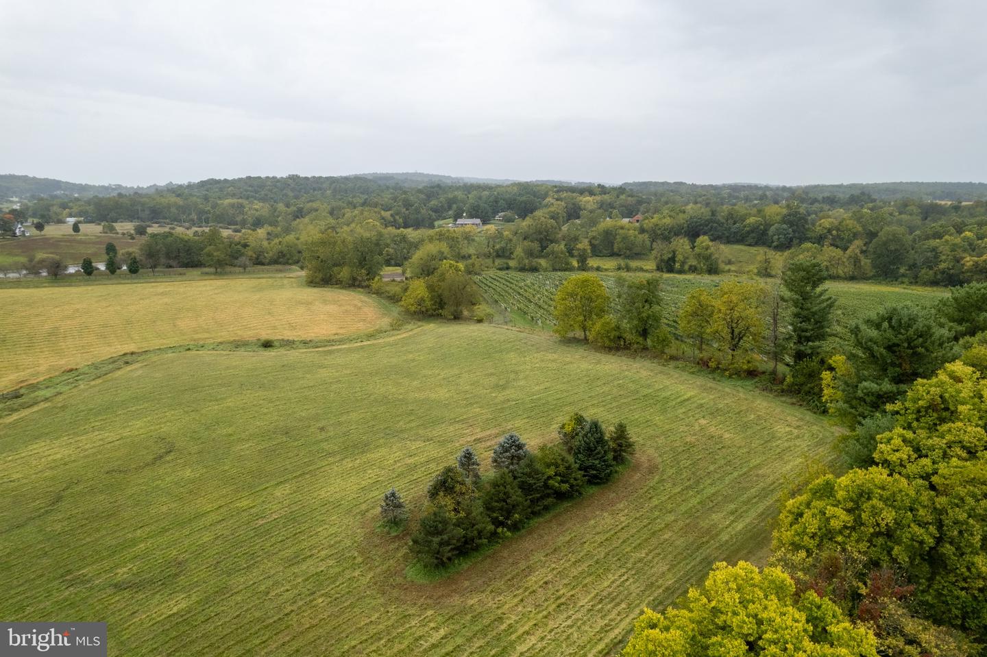 20.17 ACRES HEDGELAND LANE, WATERFORD, Virginia 20197, ,Land,For sale,20.17 ACRES HEDGELAND LANE,VALO2080162 MLS # VALO2080162