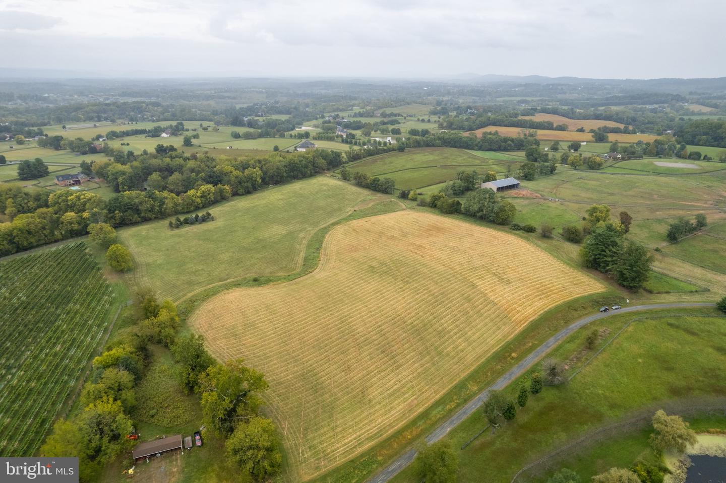 20.17 ACRES HEDGELAND LANE, WATERFORD, Virginia 20197, ,Land,For sale,20.17 ACRES HEDGELAND LANE,VALO2080162 MLS # VALO2080162