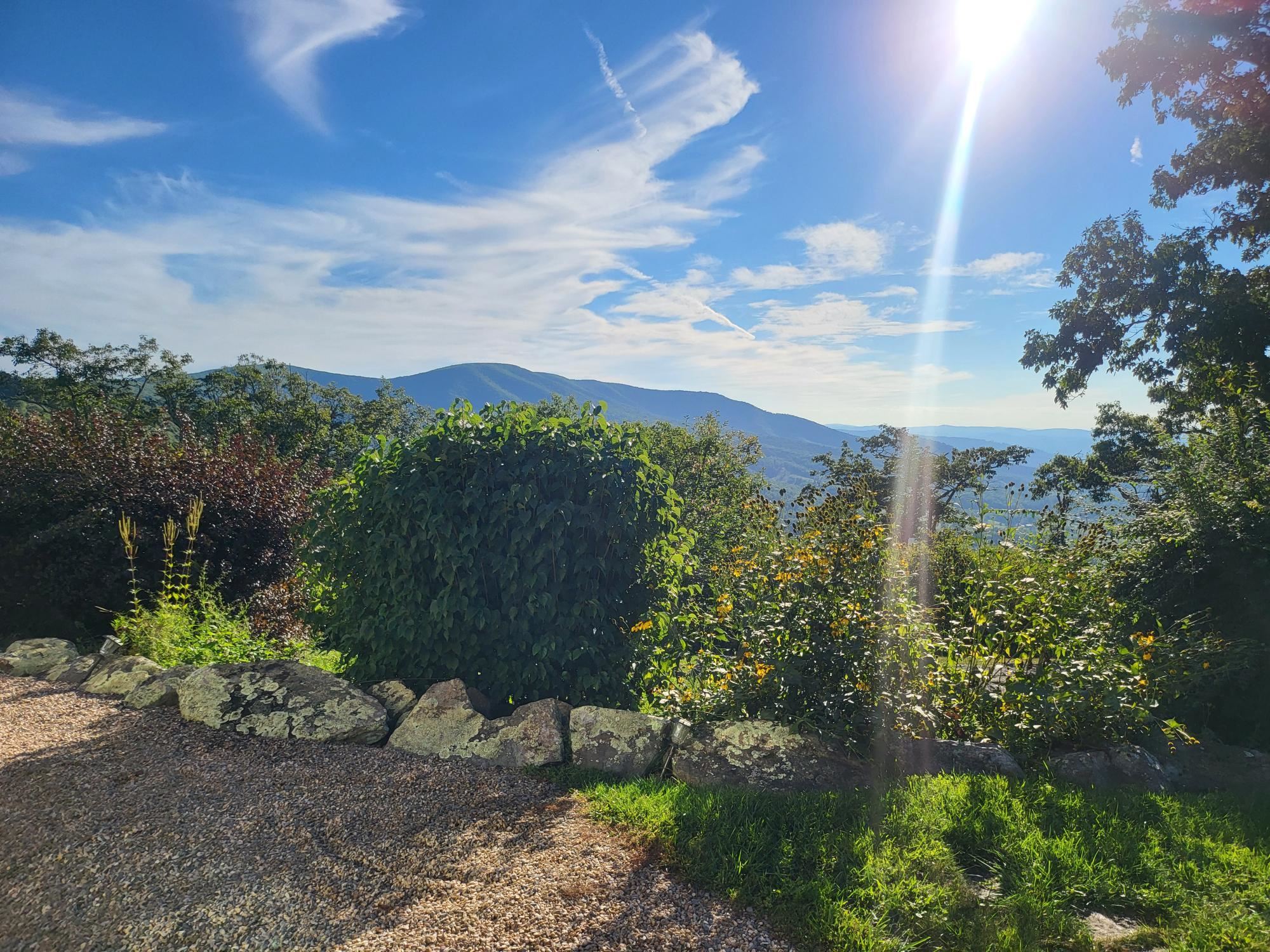 5301 MCGRAW GAP RD, HOT SPRINGS, Virginia 24445, 1 Bedroom Bedrooms, ,1 BathroomBathrooms,Residential,The Garden House,5301 MCGRAW GAP RD,656916 MLS # 656916