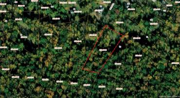 TBD PETES PL, STANARDSVILLE, Virginia 22973, ,Land,TBD PETES PL,656976 MLS # 656976