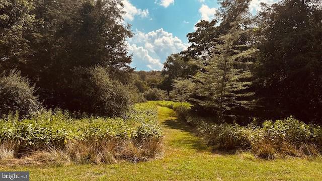 LOT 1 PAGE VALLEY ROAD, LURAY, Virginia 22835, ,Land,For sale,LOT 1 PAGE VALLEY ROAD,VAPA2003998 MLS # VAPA2003998