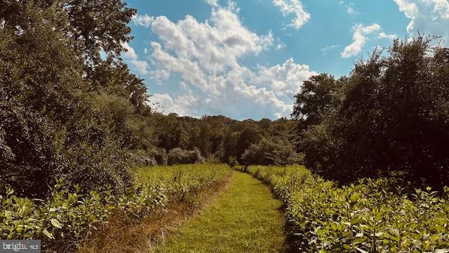 LOT 1 PAGE VALLEY ROAD, LURAY, Virginia 22835, ,Land,For sale,LOT 1 PAGE VALLEY ROAD,VAPA2003998 MLS # VAPA2003998