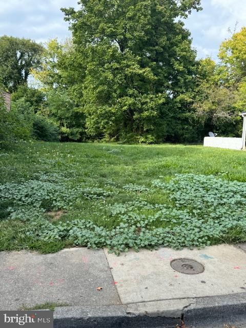 118 W LEICESTER ST, WINCHESTER, Virginia 22601, ,Land,For sale,118 W LEICESTER ST,VAWI2006460 MLS # VAWI2006460