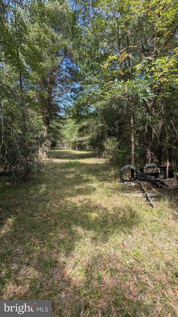 RACCOON FORD RD, CULPEPER, Virginia 22701, ,Land,For sale,RACCOON FORD RD,VACU2008924 MLS # VACU2008924