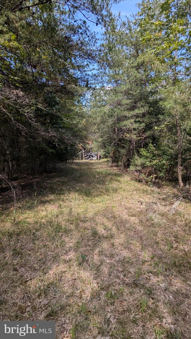 RACCOON FORD RD, CULPEPER, Virginia 22701, ,Land,For sale,RACCOON FORD RD,VACU2008924 MLS # VACU2008924