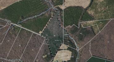 RACCOON FORD RD, CULPEPER, Virginia 22701, ,Land,For sale,RACCOON FORD RD,VACU2008924 MLS # VACU2008924