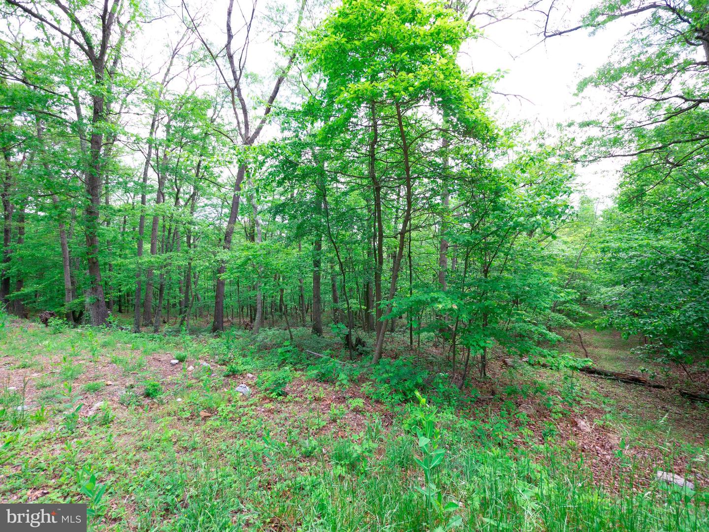 LOT 37 POPLAR TRL, WINCHESTER, Virginia 22602, ,Land,For sale,LOT 37 POPLAR TRL,VAFV2021832 MLS # VAFV2021832