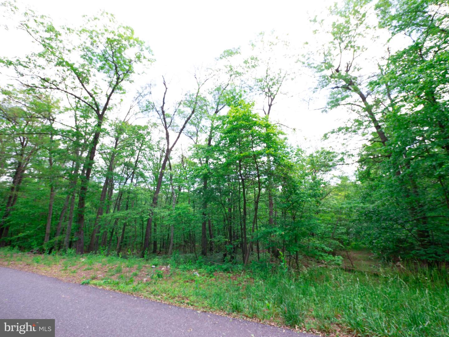 LOT 37 POPLAR TRL, WINCHESTER, Virginia 22602, ,Land,For sale,LOT 37 POPLAR TRL,VAFV2021832 MLS # VAFV2021832