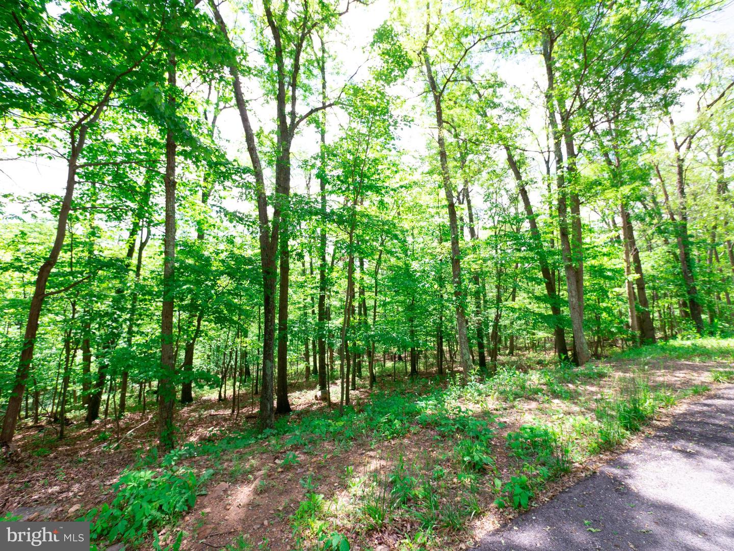 LOT 37 POPLAR TRL, WINCHESTER, Virginia 22602, ,Land,For sale,LOT 37 POPLAR TRL,VAFV2021832 MLS # VAFV2021832