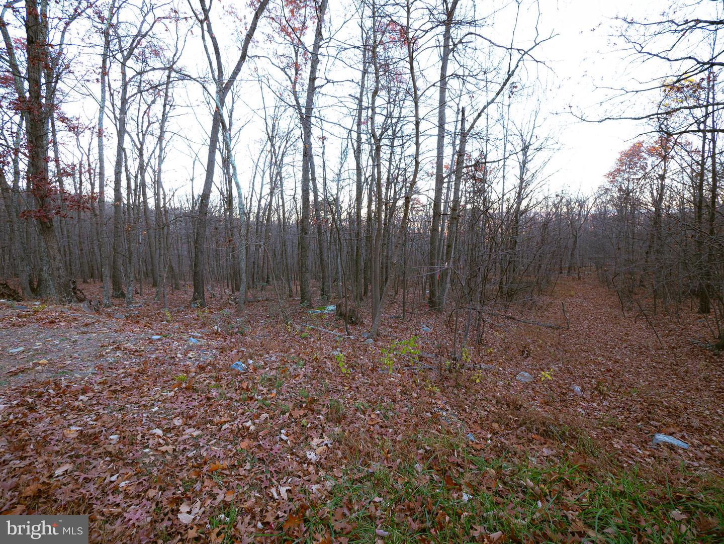 LOT 37 POPLAR TRL, WINCHESTER, Virginia 22602, ,Land,For sale,LOT 37 POPLAR TRL,VAFV2021832 MLS # VAFV2021832