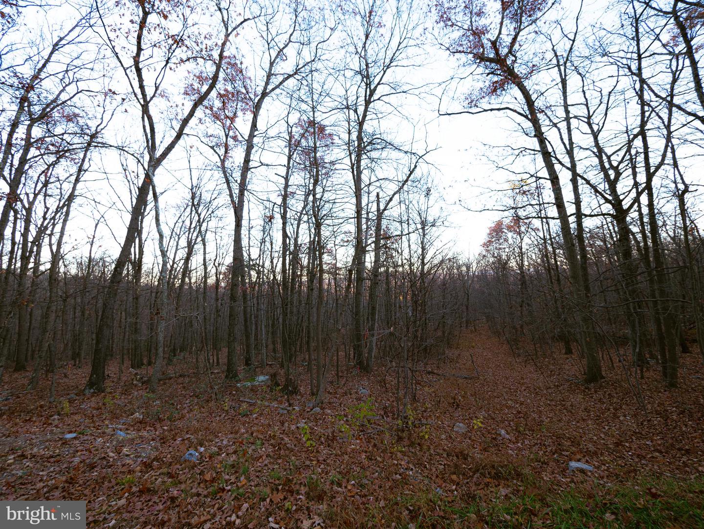 LOT 37 POPLAR TRL, WINCHESTER, Virginia 22602, ,Land,For sale,LOT 37 POPLAR TRL,VAFV2021832 MLS # VAFV2021832