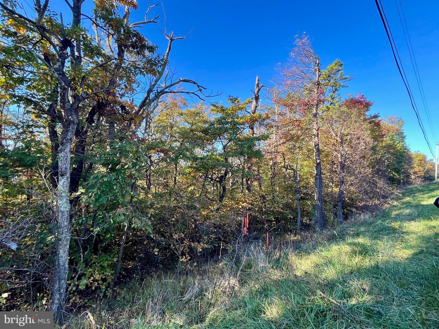 0 TIMBER RIDGE TRL, WINCHESTER, Virginia 22602, ,Land,For sale,0 TIMBER RIDGE TRL,VAFV2021384 MLS # VAFV2021384