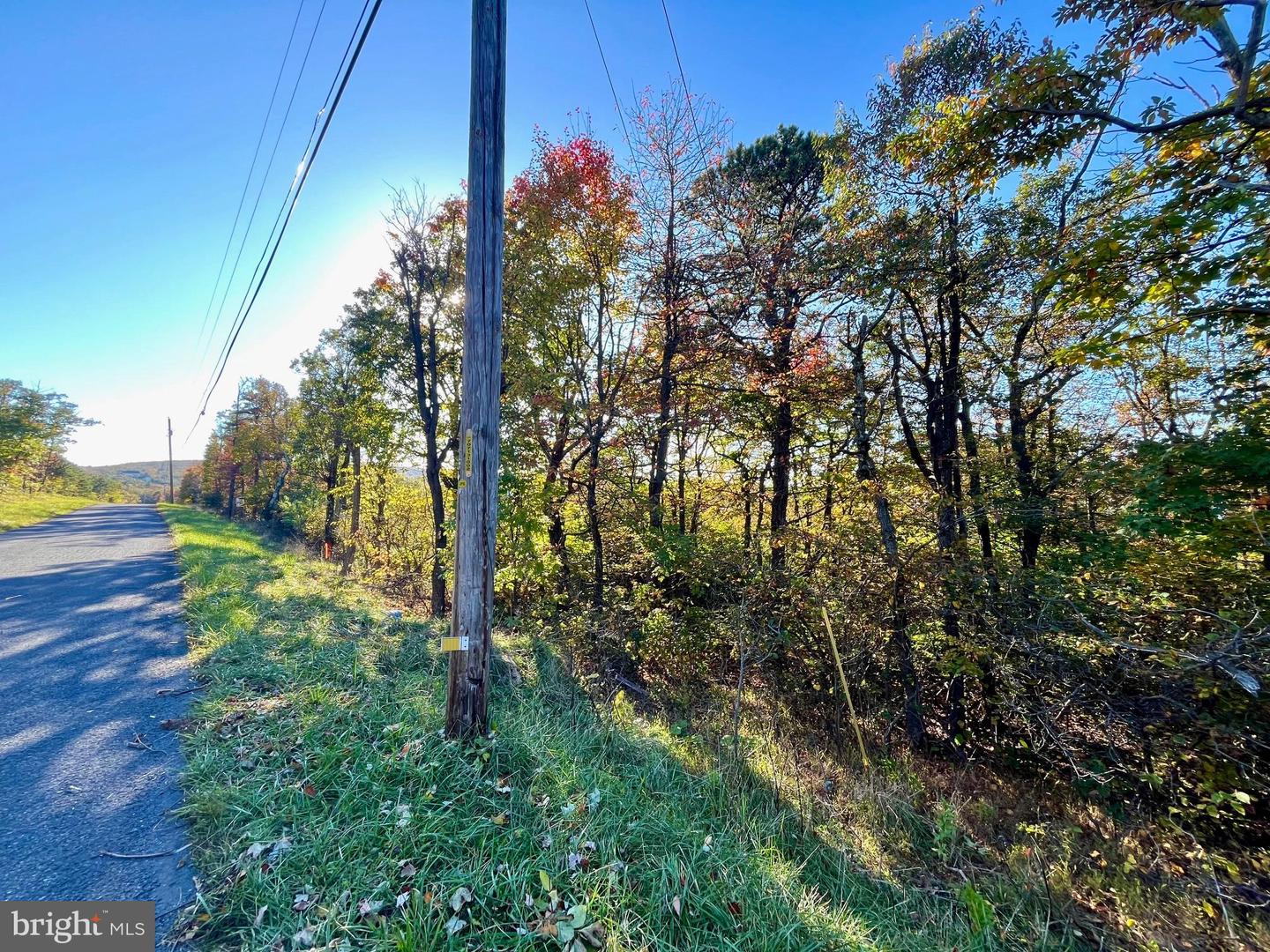 0 TIMBER RIDGE TRL, WINCHESTER, Virginia 22602, ,Land,For sale,0 TIMBER RIDGE TRL,VAFV2021384 MLS # VAFV2021384