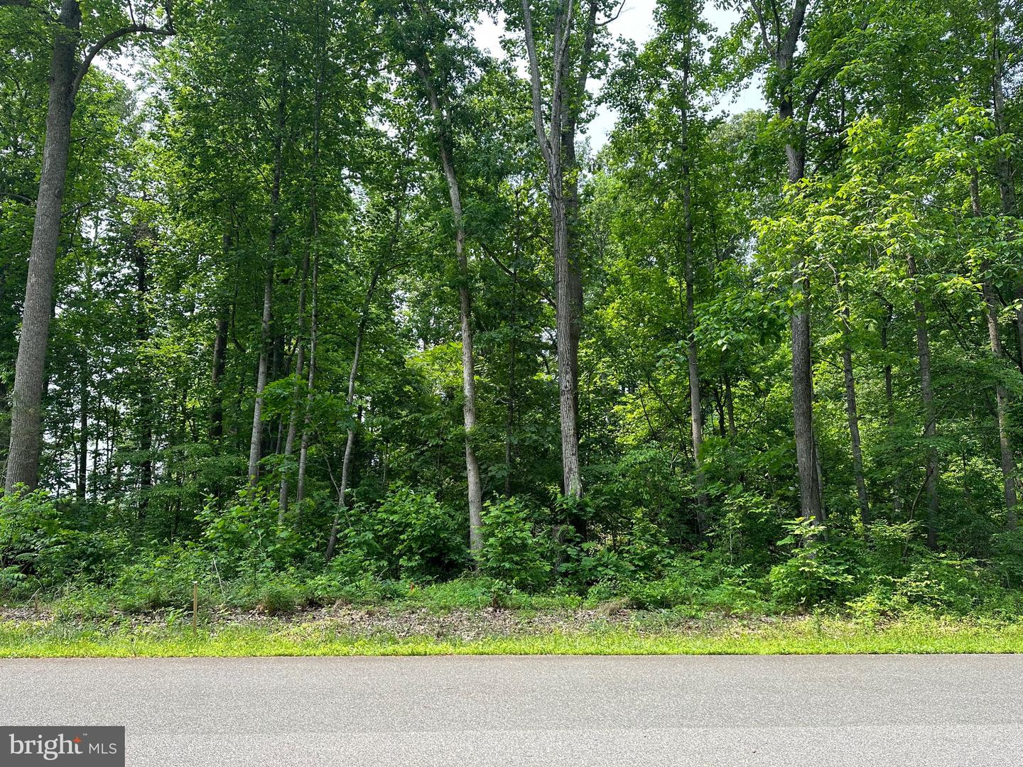 LOT 8 DRUMMERS LANE, ORANGE, Virginia 22960, ,Land,For sale,LOT 8 DRUMMERS LANE,VASP2028002 MLS # VASP2028002