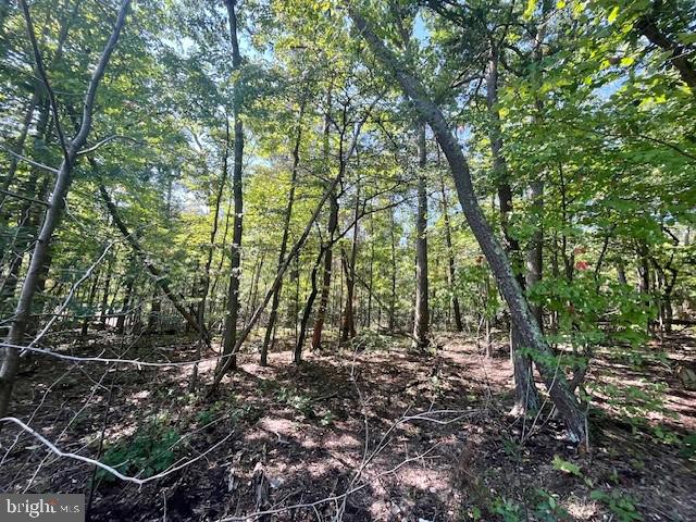 CARDINAL DR., LURAY, Virginia 22835, ,Land,For sale,CARDINAL DR.,VAPA2004026 MLS # VAPA2004026