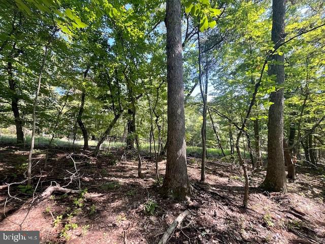 CARDINAL DR., LURAY, Virginia 22835, ,Land,For sale,CARDINAL DR.,VAPA2004026 MLS # VAPA2004026