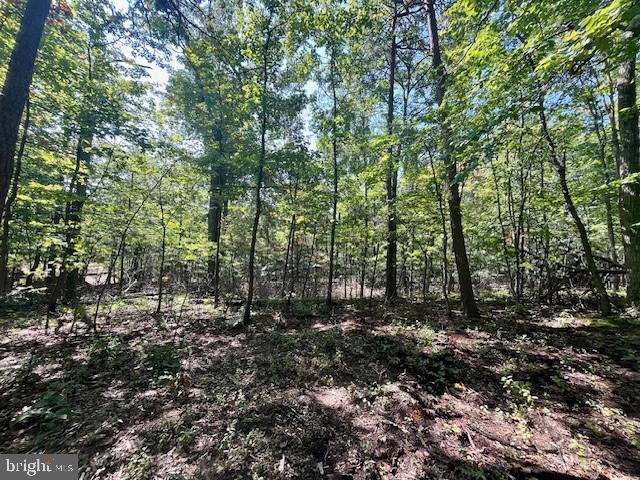 CARDINAL DR., LURAY, Virginia 22835, ,Land,For sale,CARDINAL DR.,VAPA2004026 MLS # VAPA2004026