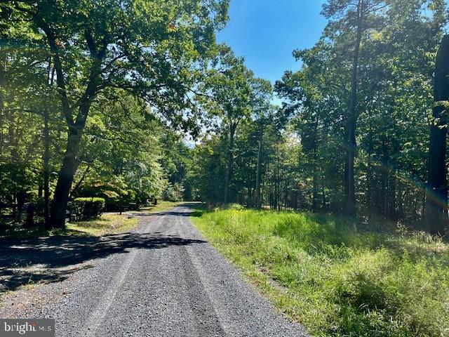 CARDINAL DR., LURAY, Virginia 22835, ,Land,For sale,CARDINAL DR.,VAPA2004026 MLS # VAPA2004026