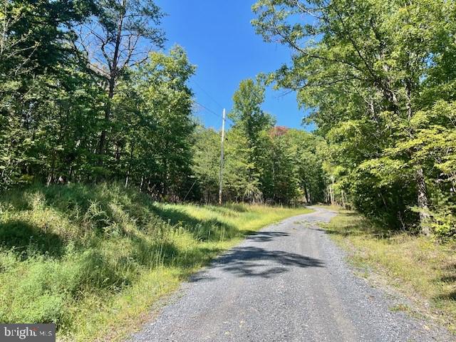 CARDINAL DR., LURAY, Virginia 22835, ,Land,For sale,CARDINAL DR.,VAPA2004026 MLS # VAPA2004026