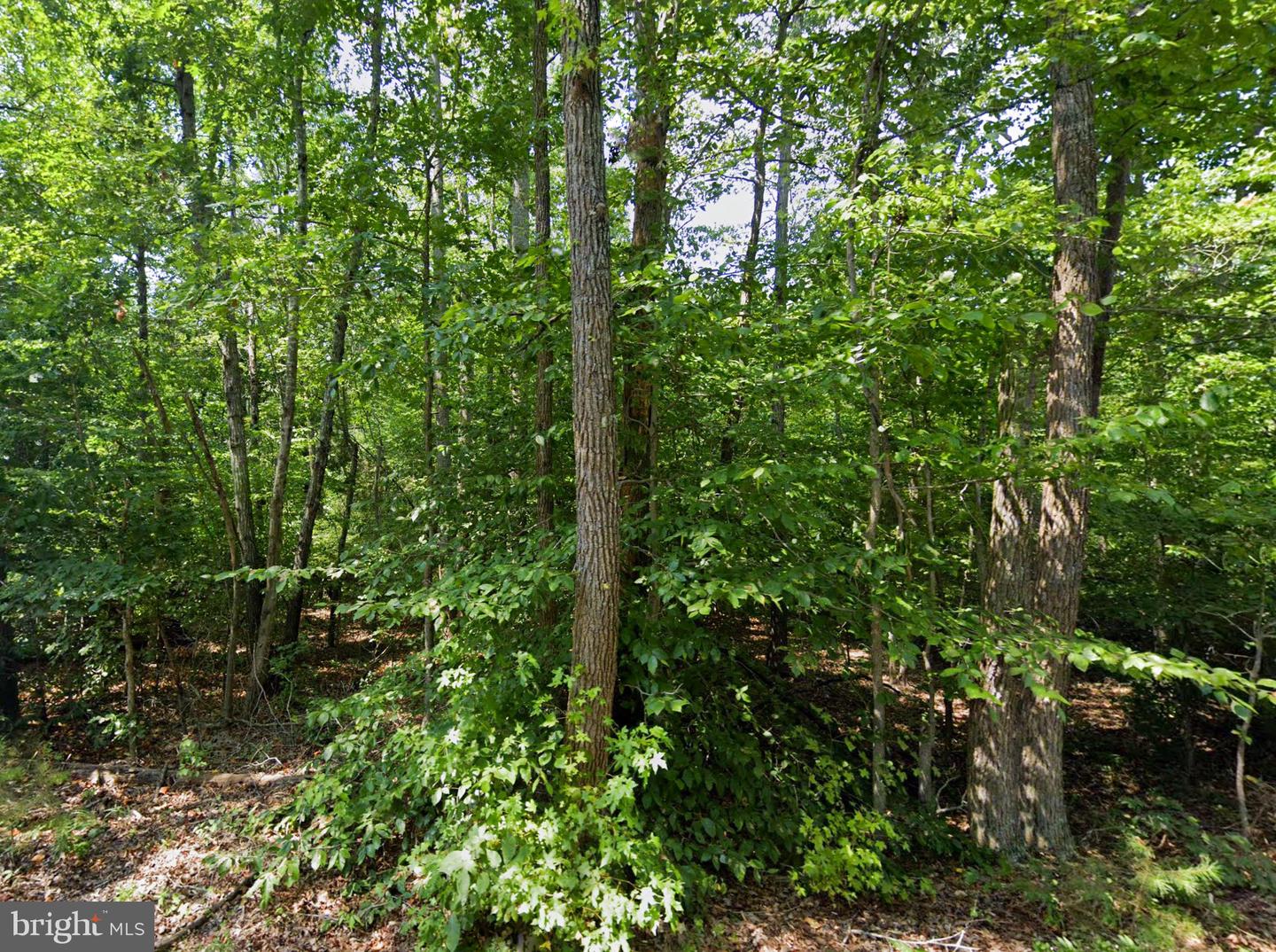 00 CROSS COUNTRY RD, MINERAL, Virginia 23117, ,Land,For sale,00 CROSS COUNTRY RD,VALA2006532 MLS # VALA2006532