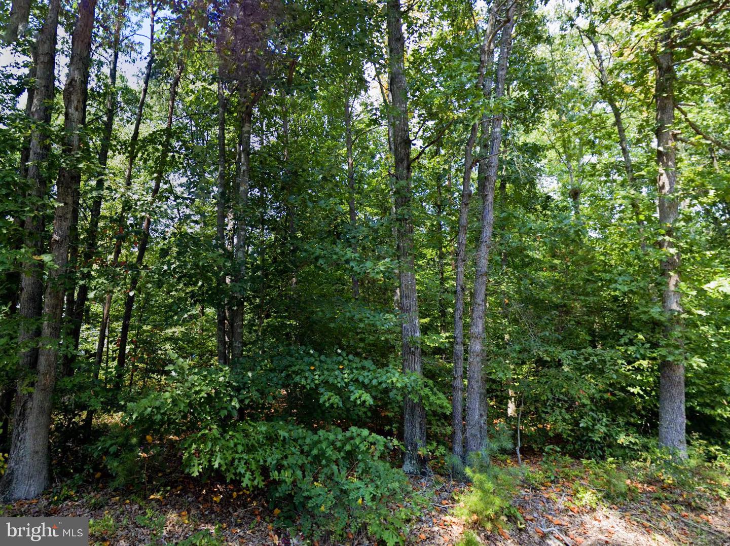 00 CROSS COUNTRY RD, MINERAL, Virginia 23117, ,Land,For sale,00 CROSS COUNTRY RD,VALA2006532 MLS # VALA2006532