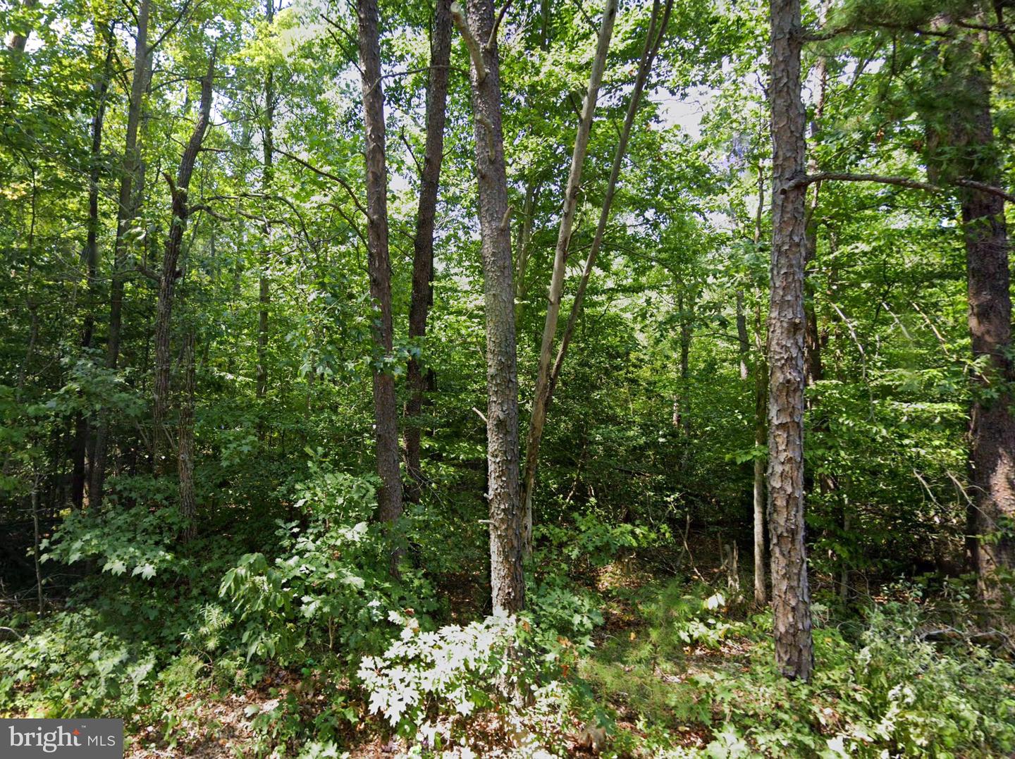 00 CROSS COUNTRY RD, MINERAL, Virginia 23117, ,Land,For sale,00 CROSS COUNTRY RD,VALA2006532 MLS # VALA2006532