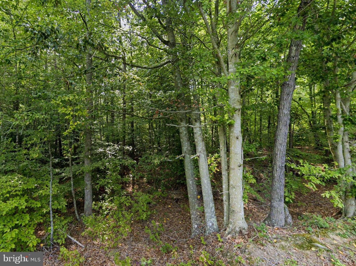 00 CROSS COUNTRY RD, MINERAL, Virginia 23117, ,Land,For sale,00 CROSS COUNTRY RD,VALA2006532 MLS # VALA2006532