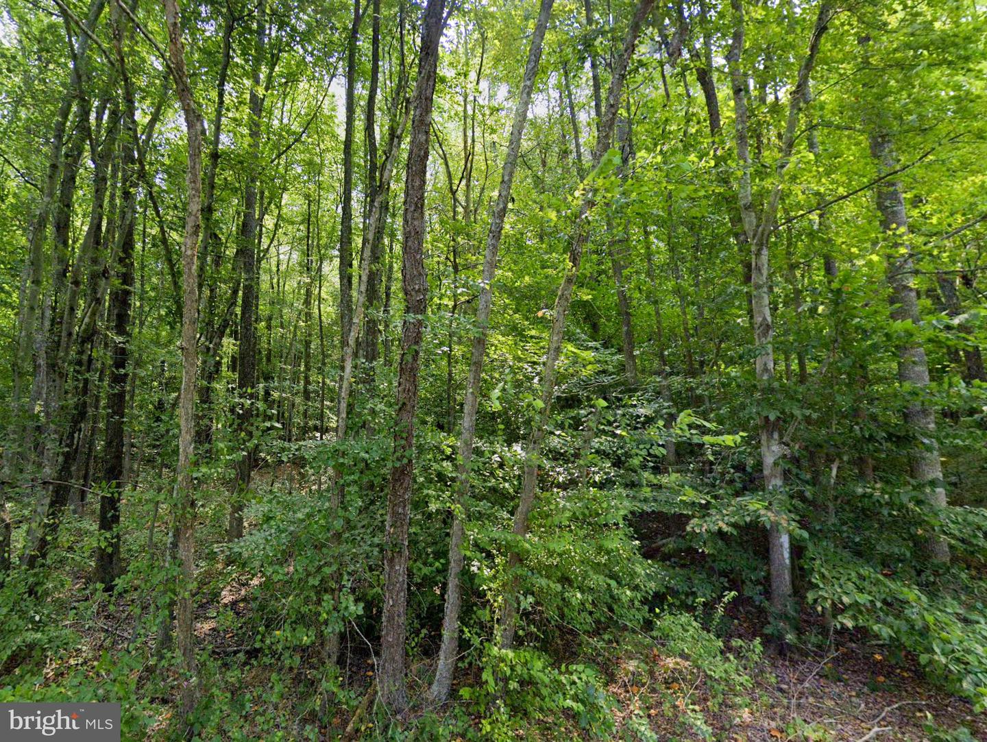 00 CROSS COUNTRY RD, MINERAL, Virginia 23117, ,Land,For sale,00 CROSS COUNTRY RD,VALA2006532 MLS # VALA2006532