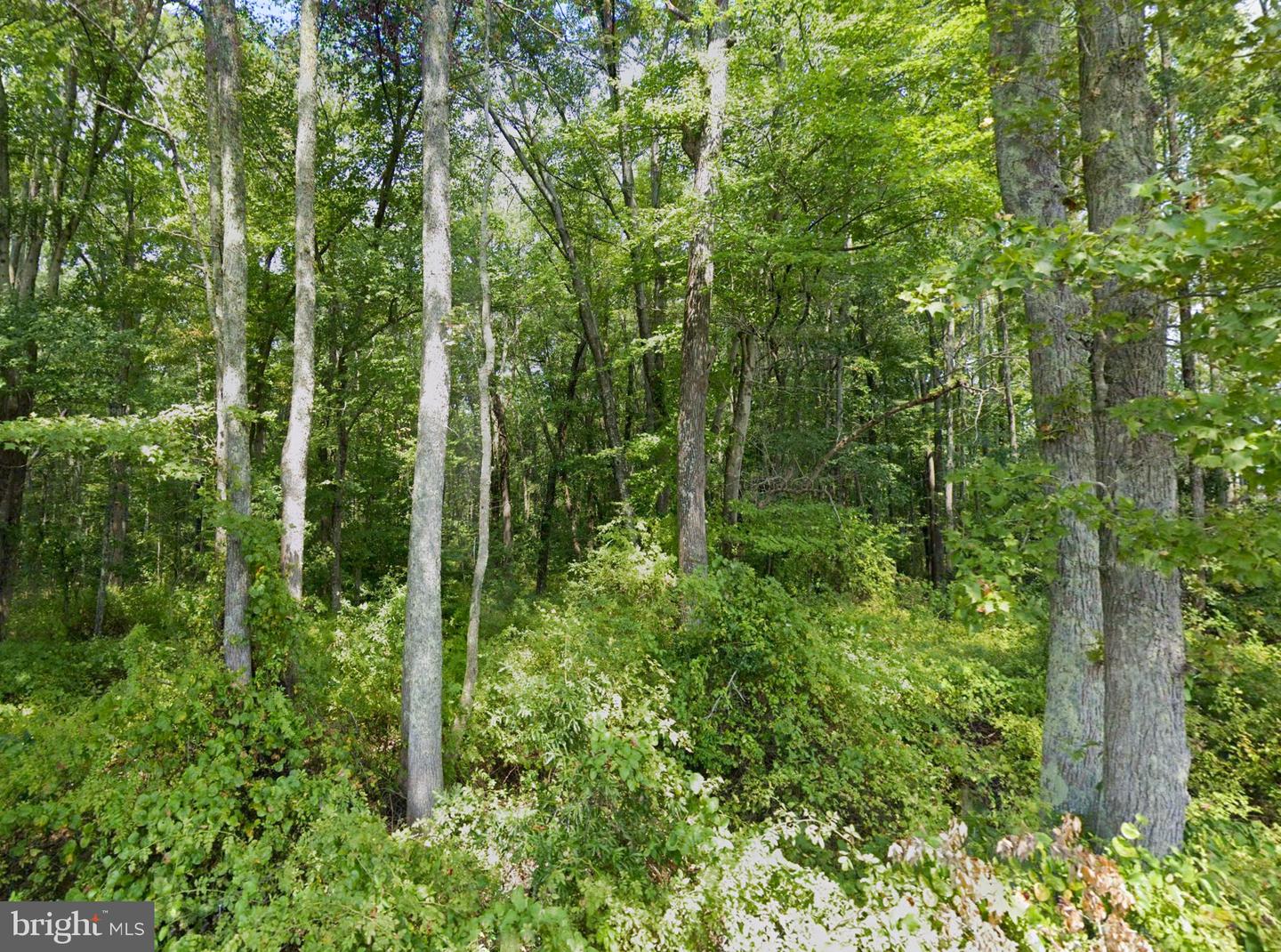 00 CROSS COUNTRY RD, MINERAL, Virginia 23117, ,Land,For sale,00 CROSS COUNTRY RD,VALA2006532 MLS # VALA2006532