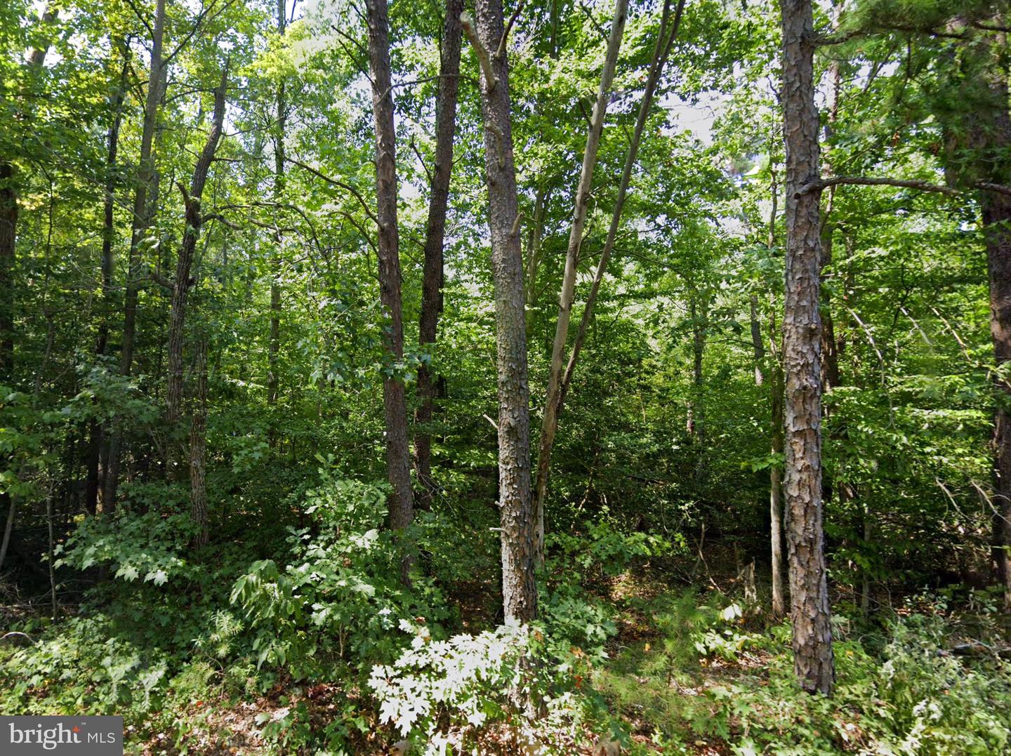 00 CROSS COUNTRY RD, MINERAL, Virginia 23117, ,Land,For sale,00 CROSS COUNTRY RD,VALA2006532 MLS # VALA2006532