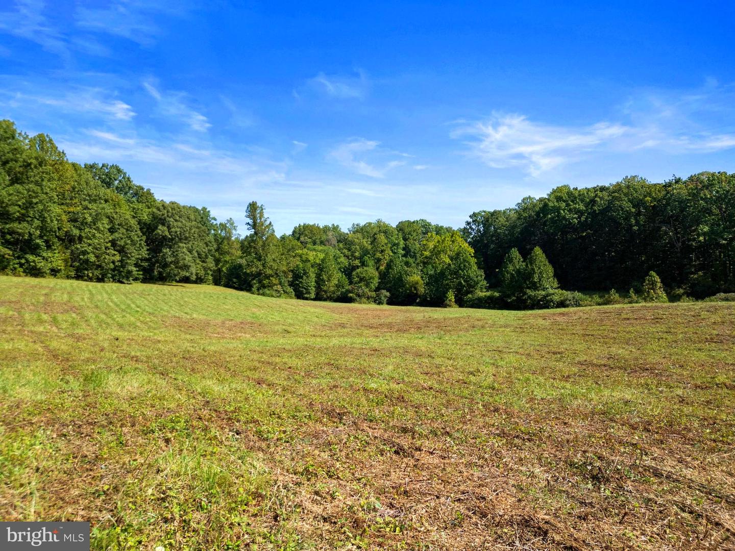 LOT A PF 4/209 ROSE HILL DR, CULPEPER, Virginia 22701, ,Land,For sale,LOT A PF 4/209 ROSE HILL DR,VACU2008938 MLS # VACU2008938