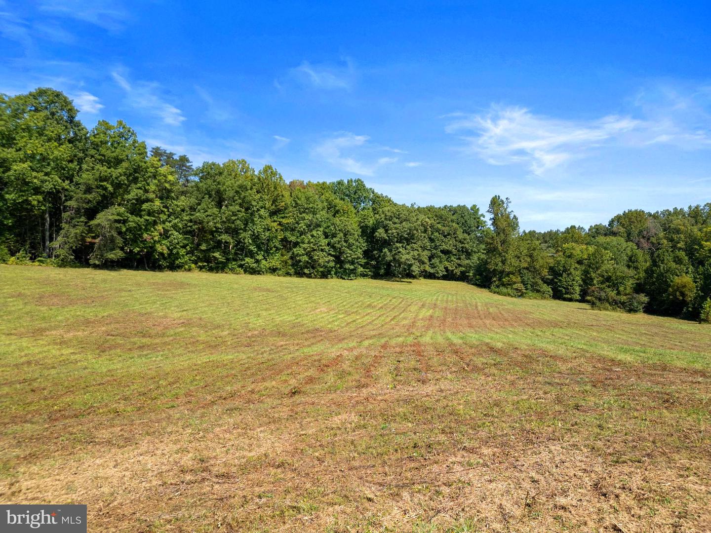 LOT A PF 4/209 ROSE HILL DR, CULPEPER, Virginia 22701, ,Land,For sale,LOT A PF 4/209 ROSE HILL DR,VACU2008938 MLS # VACU2008938