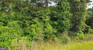 0 PHILPOTT RD, SOUTH BOSTON, Virginia 24592, ,Land,For sale,0 PHILPOTT RD,VAHX2000076 MLS # VAHX2000076