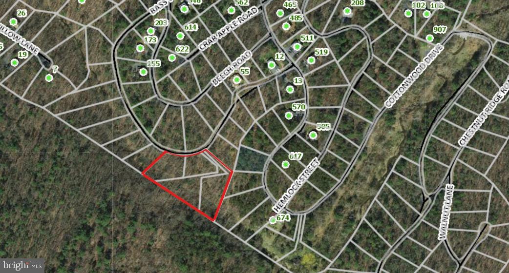 0 BASSWOOD, MOUNT JACKSON, Virginia 22842, ,Land,For sale,0 BASSWOOD,VASH2009682 MLS # VASH2009682