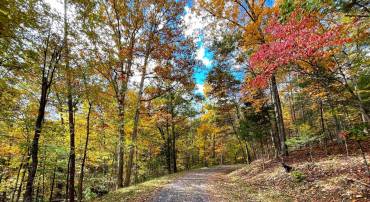 0 BASSWOOD, MOUNT JACKSON, Virginia 22842, ,Land,For sale,0 BASSWOOD,VASH2009682 MLS # VASH2009682