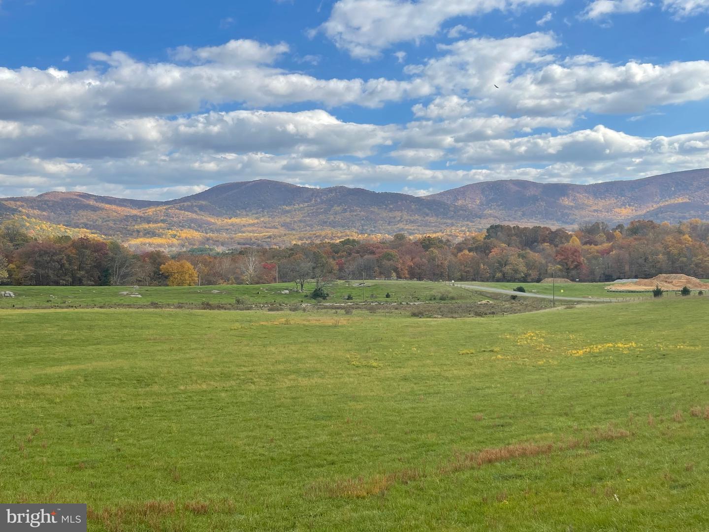 BUCK MOUNTAIN RD, BENTONVILLE, Virginia 22610, ,Land,For sale,BUCK MOUNTAIN RD,VAWR2009140 MLS # VAWR2009140