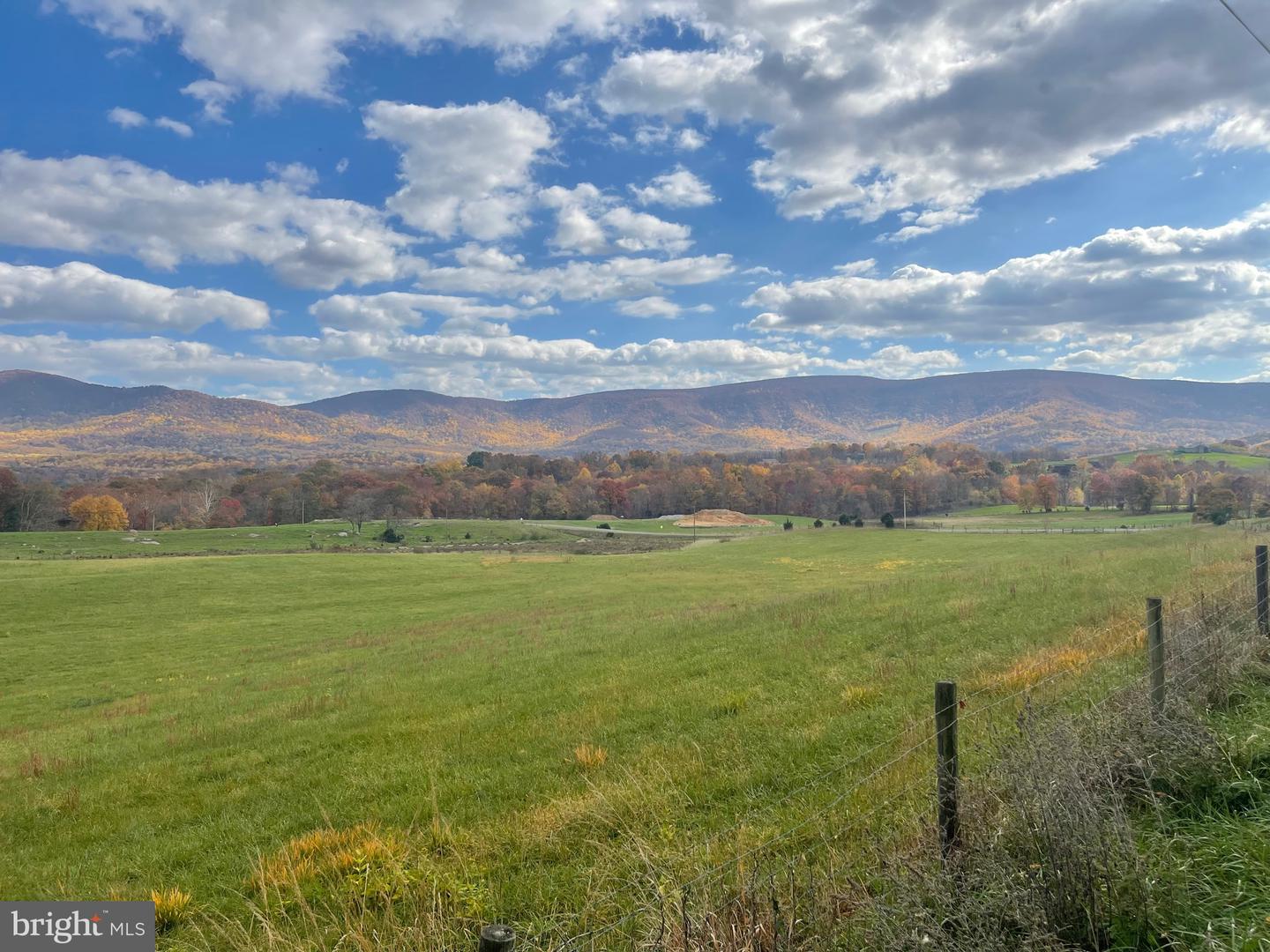 BUCK MOUNTAIN RD, BENTONVILLE, Virginia 22610, ,Land,For sale,BUCK MOUNTAIN RD,VAWR2009140 MLS # VAWR2009140