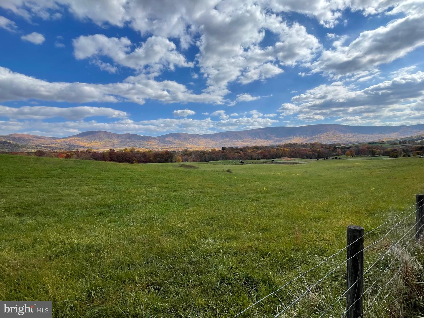 BUCK MOUNTAIN RD, BENTONVILLE, Virginia 22610, ,Land,For sale,BUCK MOUNTAIN RD,VAWR2009140 MLS # VAWR2009140