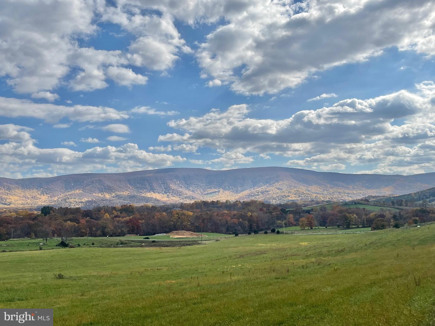 BUCK MOUNTAIN RD, BENTONVILLE, Virginia 22610, ,Land,For sale,BUCK MOUNTAIN RD,VAWR2009140 MLS # VAWR2009140