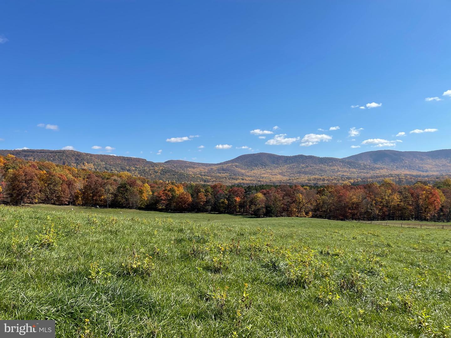 BUCK MOUNTAIN RD, BENTONVILLE, Virginia 22610, ,Land,For sale,BUCK MOUNTAIN RD,VAWR2009140 MLS # VAWR2009140