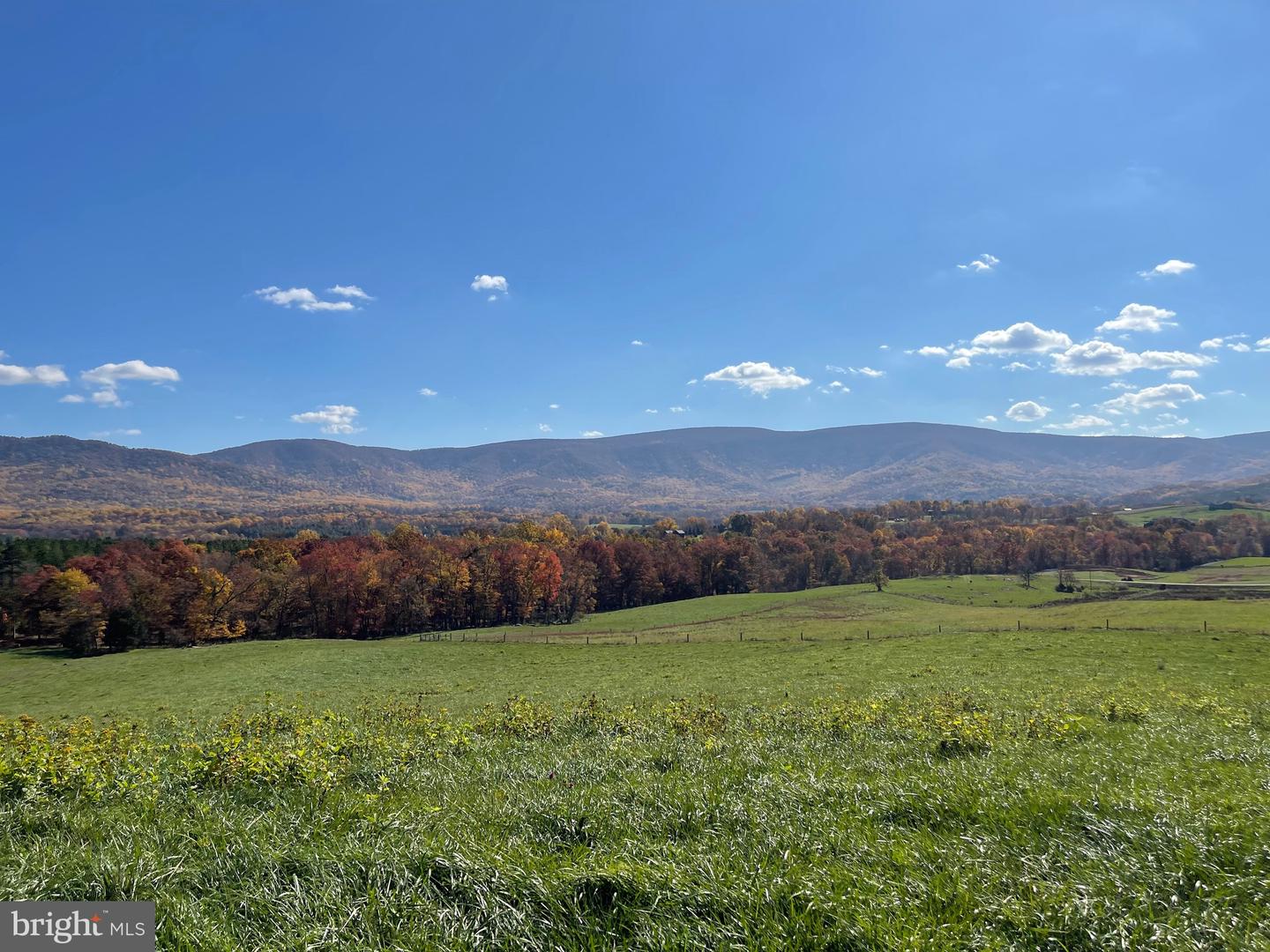 BUCK MOUNTAIN RD, BENTONVILLE, Virginia 22610, ,Land,For sale,BUCK MOUNTAIN RD,VAWR2009140 MLS # VAWR2009140